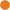 Orange circle